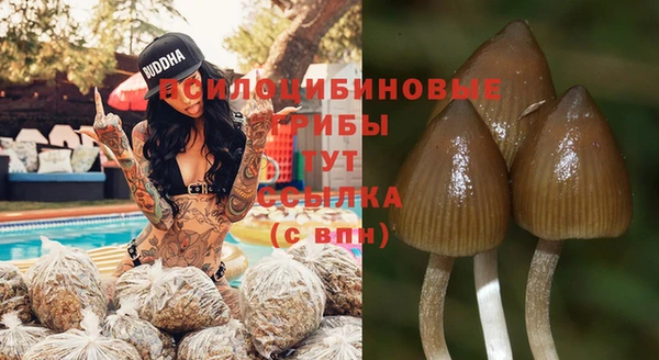а пвп мука Аркадак