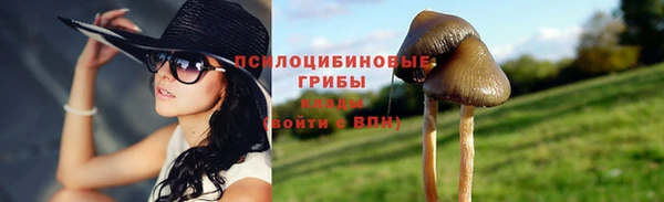а пвп мука Аркадак
