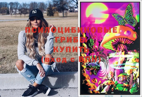 a pvp Арсеньев