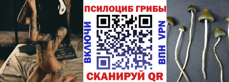 Псилоцибиновые грибы прущие грибы  дарнет шоп  Темников 